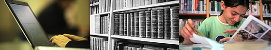 E' nato il sito Bibliotechesarde.it