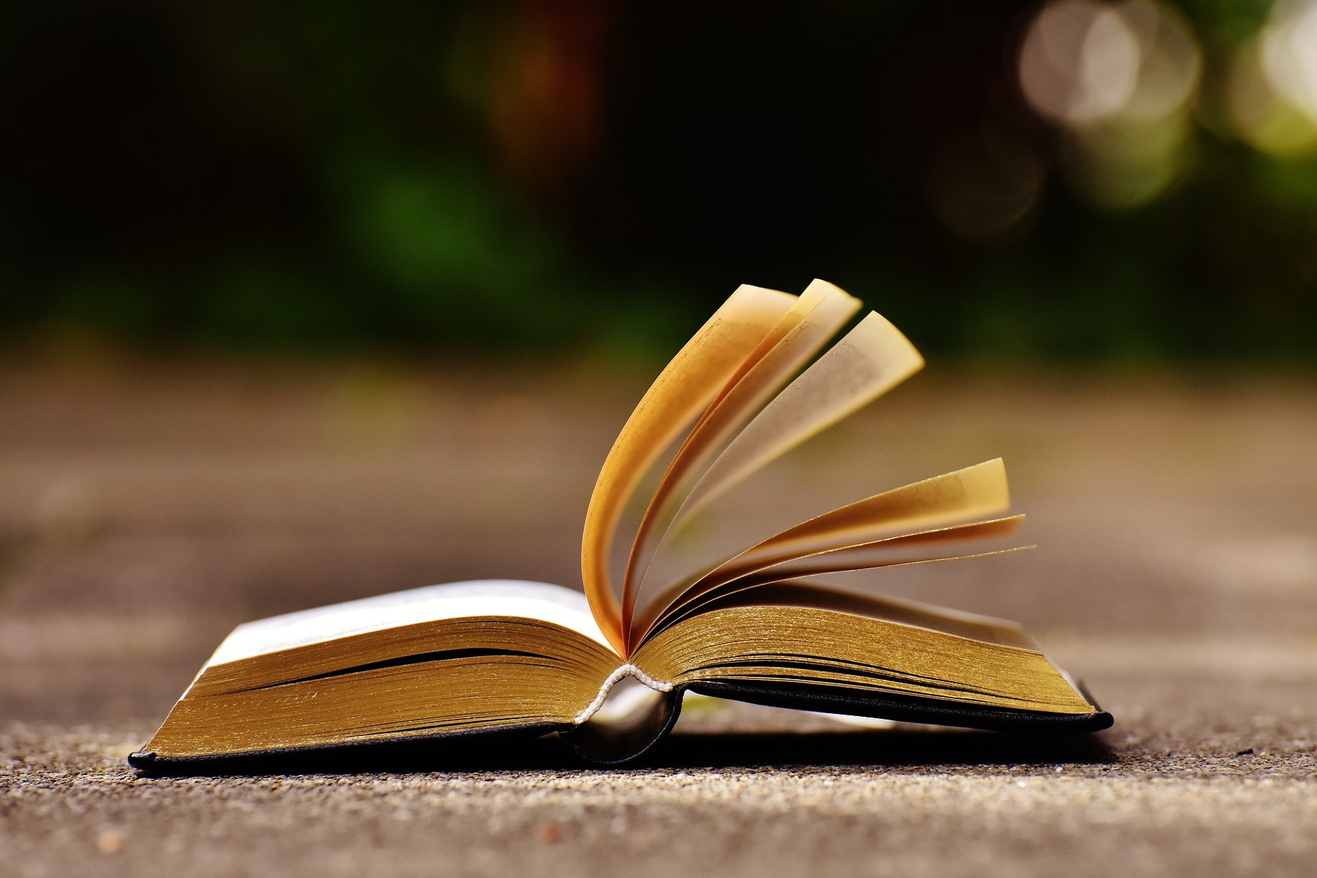 Libro (Foto Here and now da Pixabay)