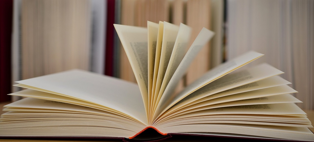 libri (da Pixabay)
